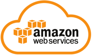 Image of AWS Logo for the Cloud